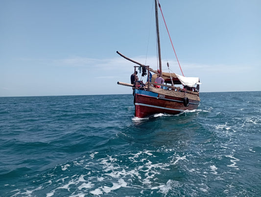 Wasini Day Trip