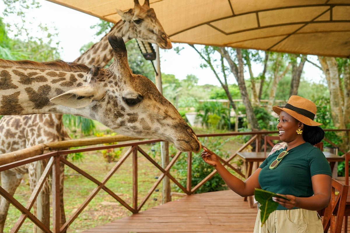 A Day With the Giraffes in Diani