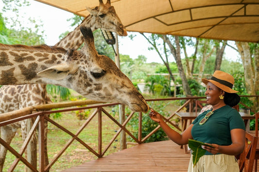 A Day With the Giraffes in Diani