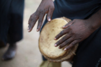 Kaya Kinondo Forest