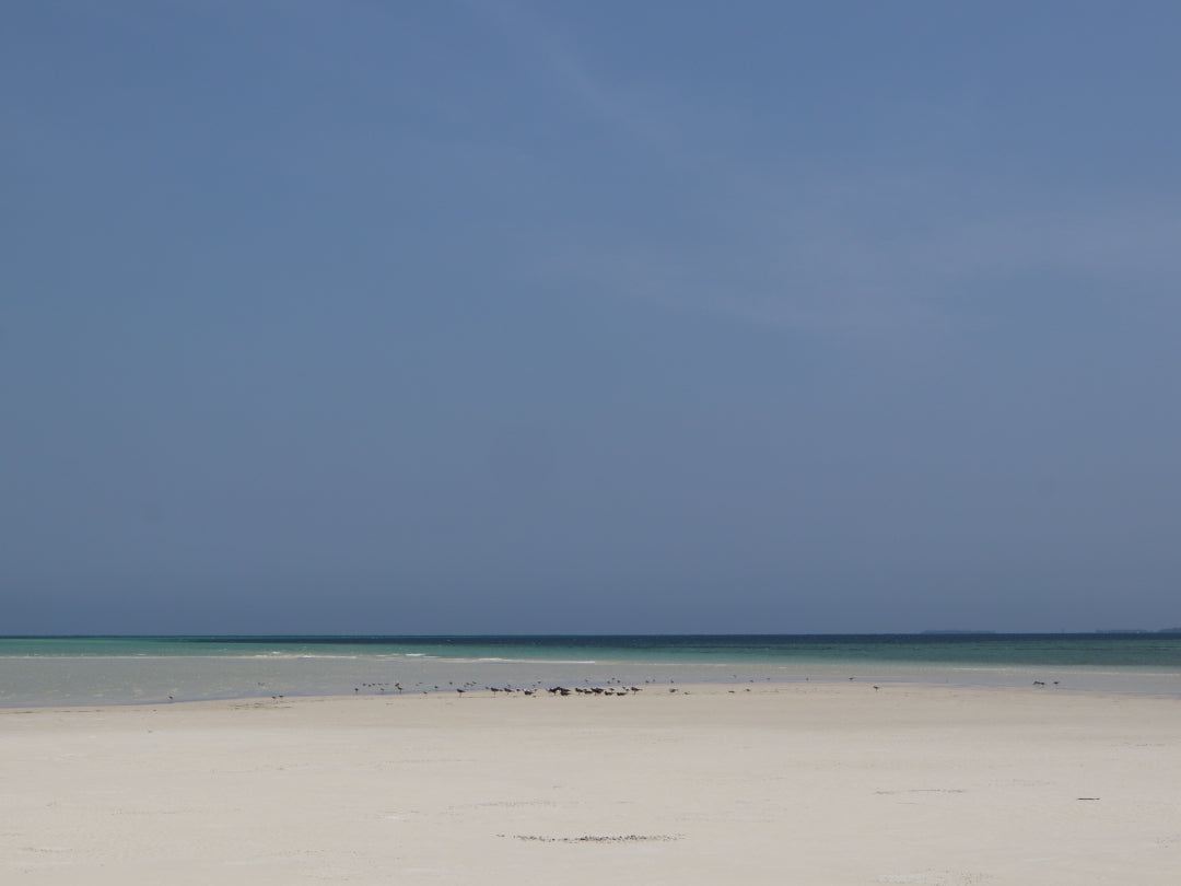 Funzi Island Day Trip