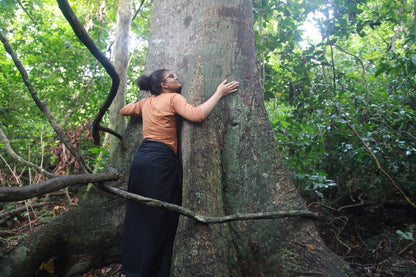 Kaya Kinondo Forest